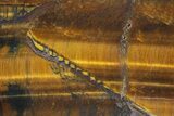 Polished Blue & Orange Tiger's Eye Slab - South Africa #320054-1